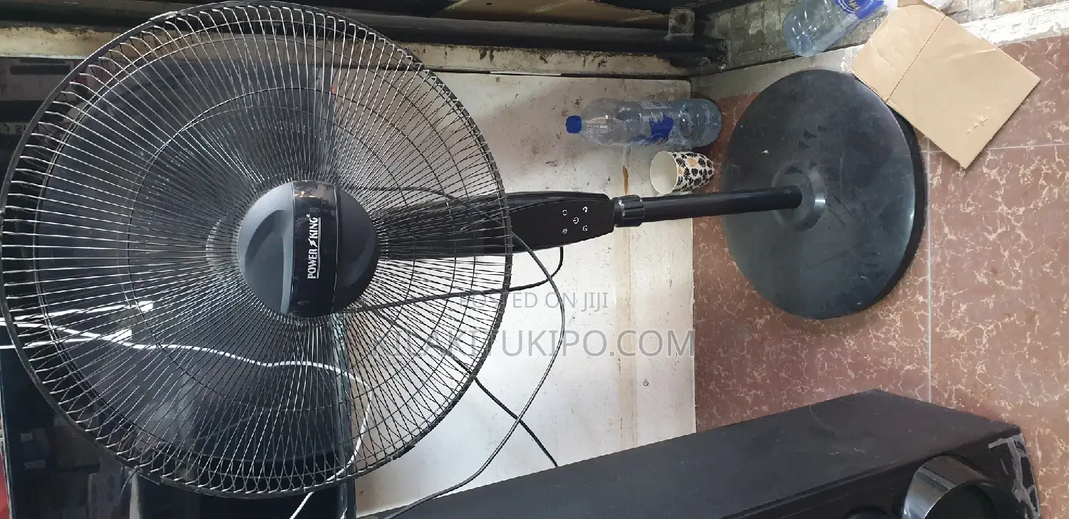 Power King Standing Remote Fan