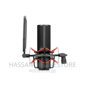 Saramonic SR-BV4 Large Diaphragm Condenser Microphone