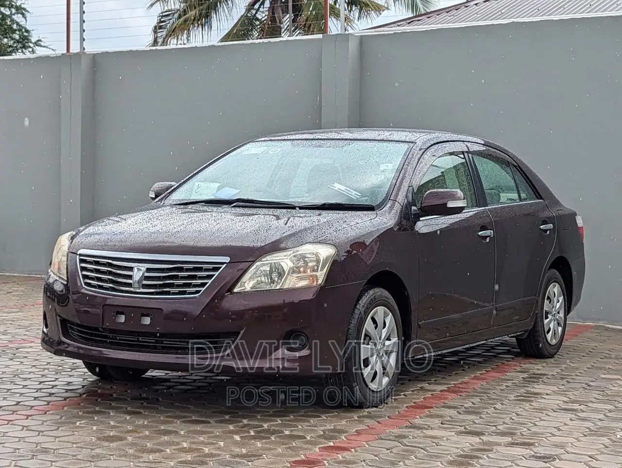 Toyota Corona 2010 Brown