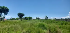 Kiwanja/Viwanja Bei Nafuu Muongozo,Kigamboni.