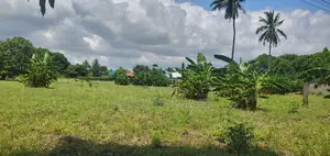 Kiwanja/Viwanja Vinauzwa Kigamboni