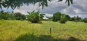 Kiwanja/Viwanja Vinauzwa Kigamboni