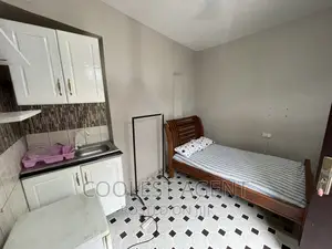 Photo - Furnished Studio Apartment in Ada Estate, Kinondoni for rent