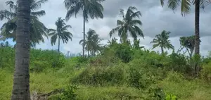 Kiwanja/Viwanja Vinauzwa Kigamboni,Gezaulole