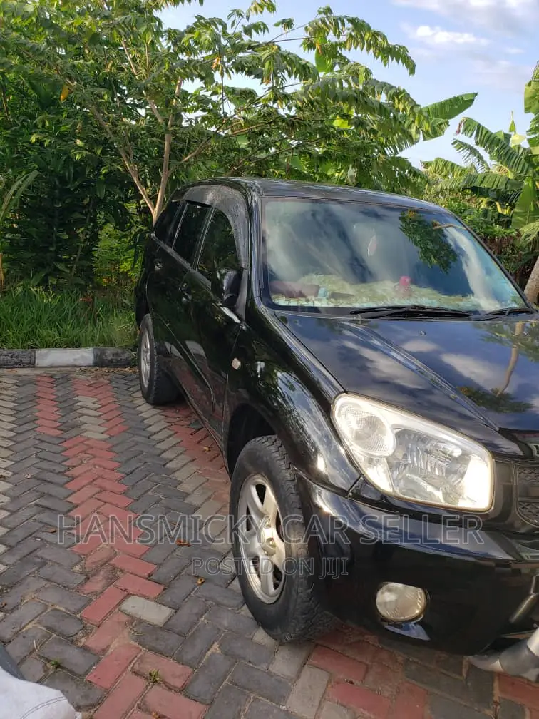 Toyota RAV4 2005 Black