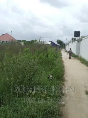 Eneo La Kibiashara Linauzwa Ml 75 Ukonga Majohe Viwege.