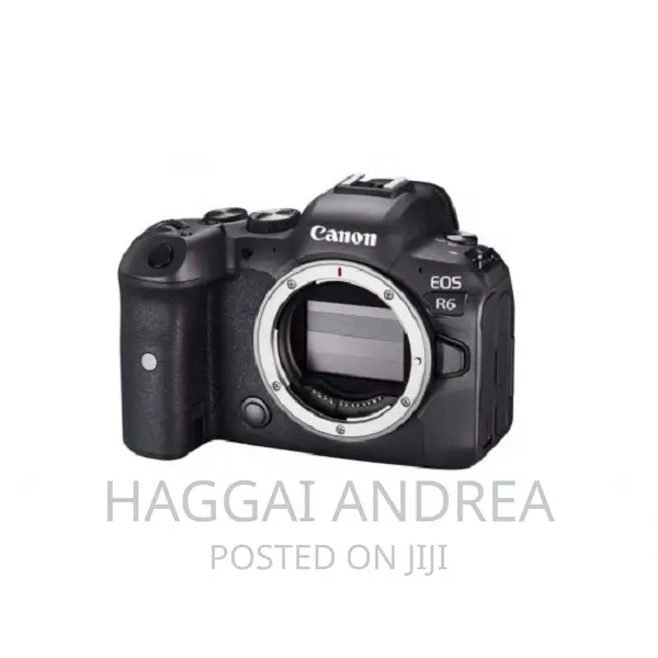 Canon EOS R6 Digital Mirrorless Camera (Body Only)