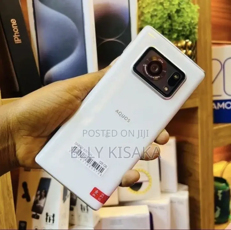 Sharp Aquos R6 128 GB