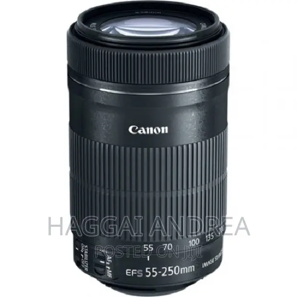 Canon EF-S 55-250mm F/4-5.6 IS STM Lens