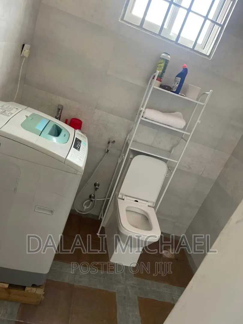 Furnished 1bdrm Apartment in Masaki for rent