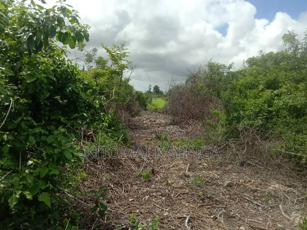 Beautiful Cliffside Beach Plot for Sale in Puna, Kigamboni.