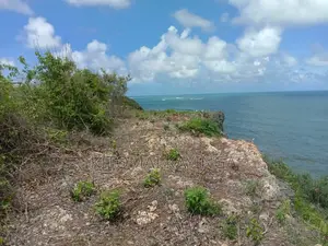 Beautiful Cliffside Beach Plot for Sale in Puna, Kigamboni.
