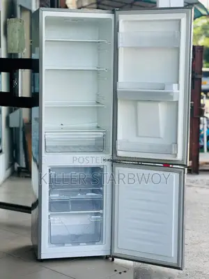 Fridge Hisense Lita 300