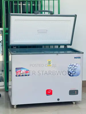 Freezer Lita 300 Boss