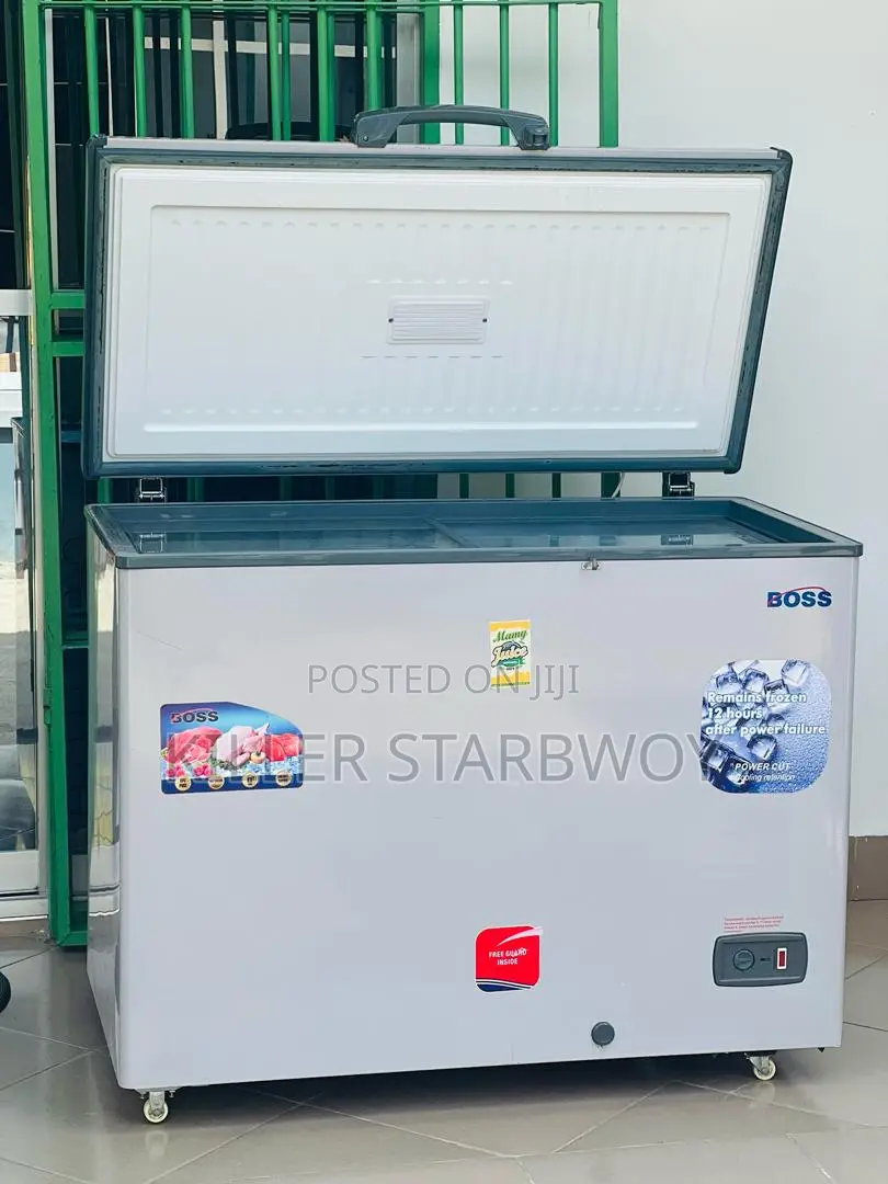 Freezer Lita 300 Boss