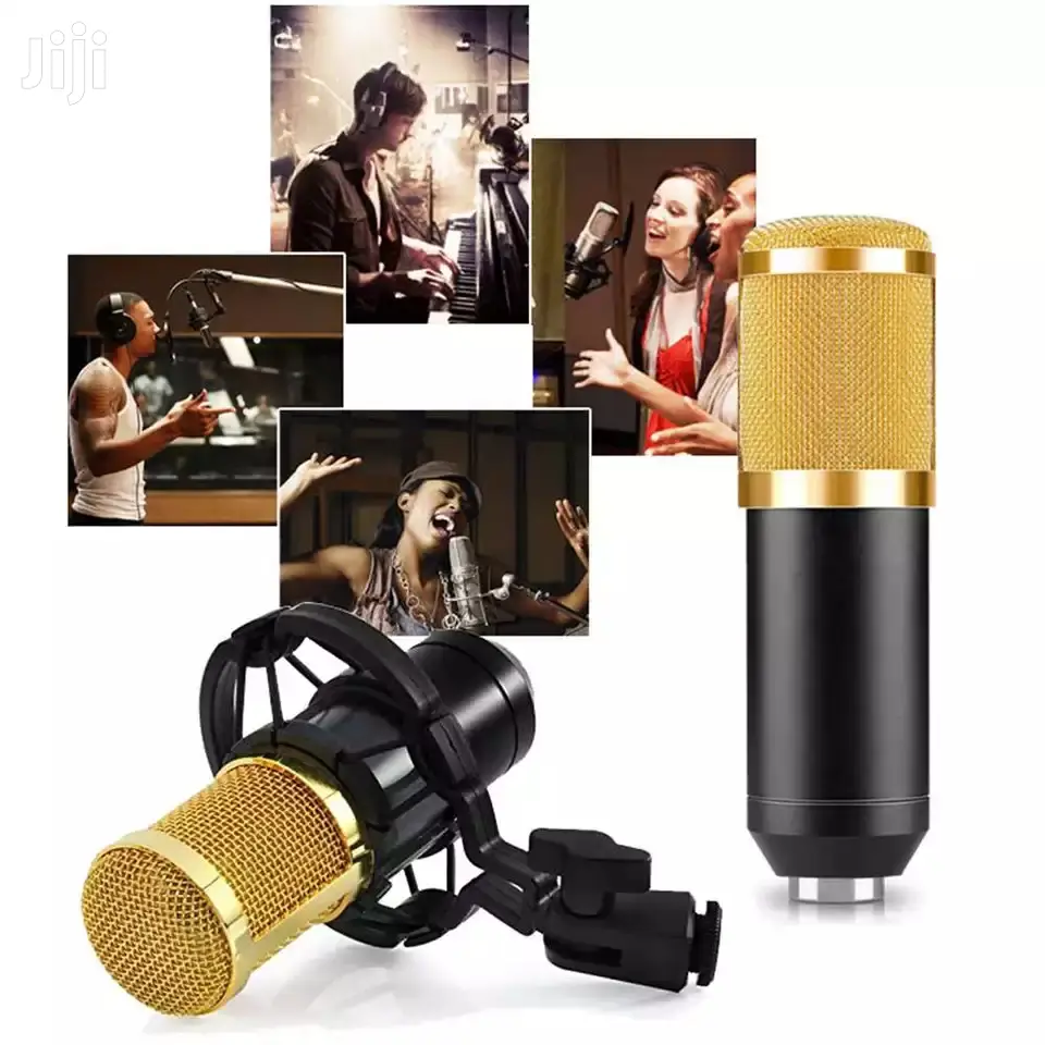 High Quality BM800 Condenser Microphone With Audio Phantom