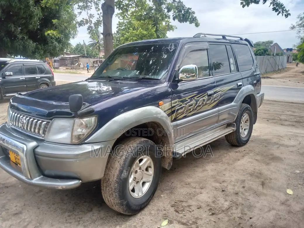 Toyota Land Cruiser Prado 2004 Blue