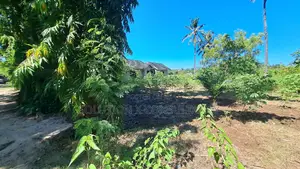 Industrial Plot for Sale at Salasala