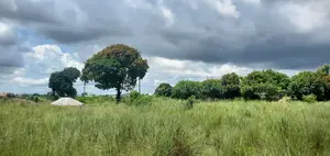 Kiwanja /Viwanja Vipo Sokoni.