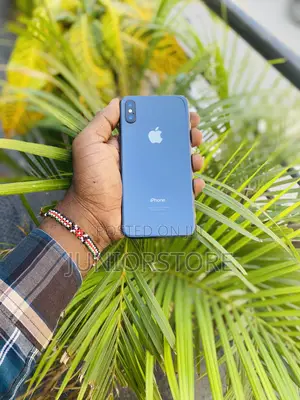 Apple iPhone X 64 GB Gray