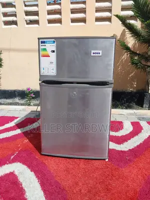 Fridge Aina Ya Boss