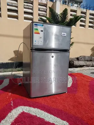 Fridge Aina Ya Boss