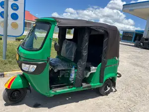 New TVS King Deluxe Plus iTouch Start 2024 Green