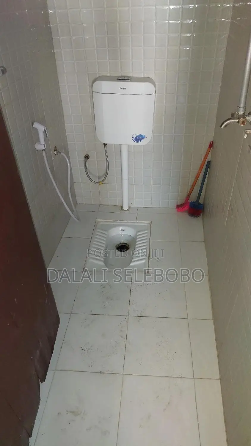 2bdrm House in Mwenge, Kinondoni for rent