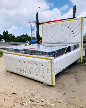Bed Sofa 5,6 High Quality