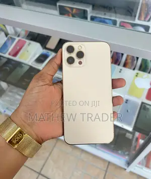 New Apple iPhone 12 Pro Max 256 GB Rose Gold