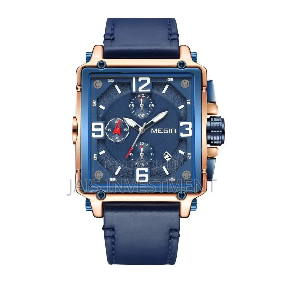MEGIR Watch