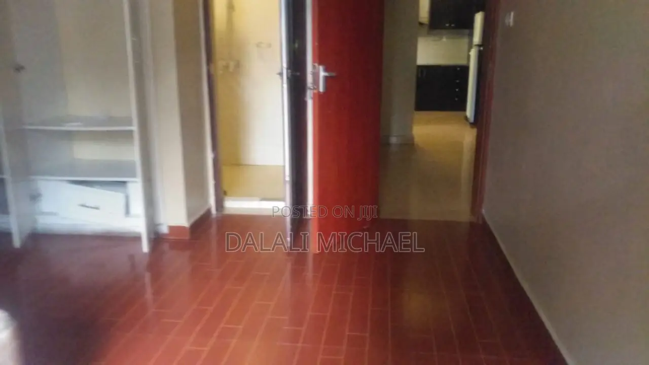 Furnished 3bdrm Apartment in Mikocheni for rent
