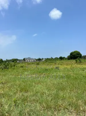 Viwanja Vya Buyuni Karibu Na Barabara Kuu