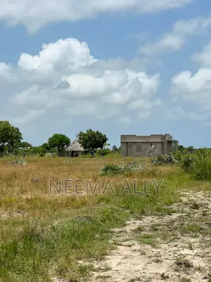 Viwanja Vya Buyuni Karibu Na Barabara Kuu
