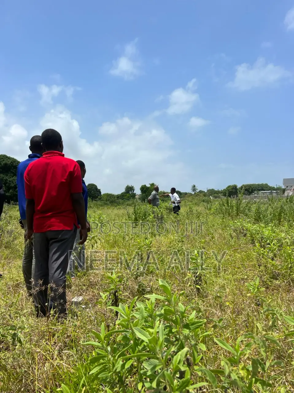 Viwanja Vya Buyuni Karibu Na Barabara Kuu