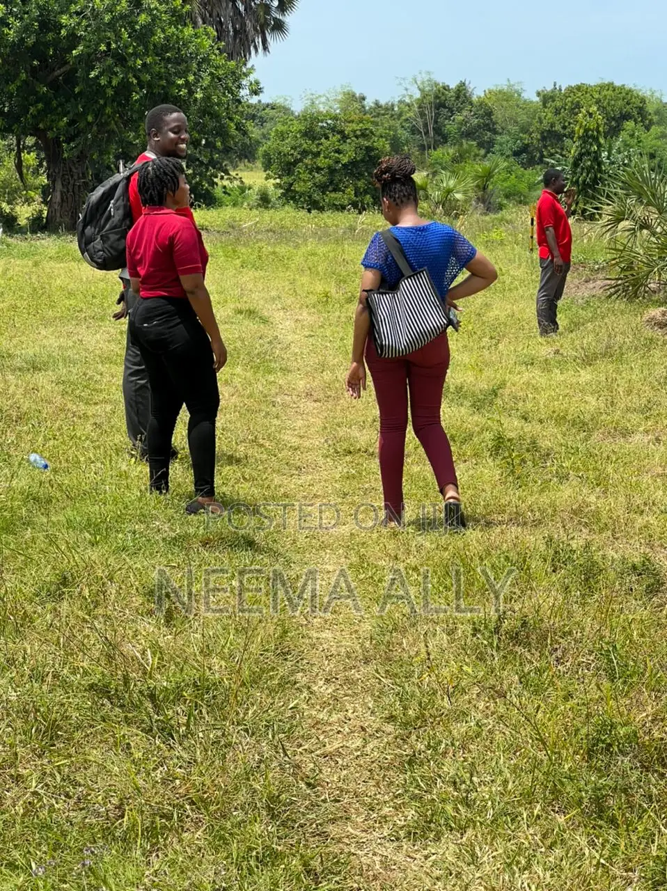 Viwanja Vya Buyuni Karibu Na Barabara Kuu