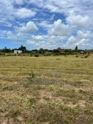 Viwanja Kigamboni Mbutu