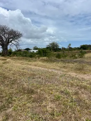 Viwanja Kigamboni Mbutu