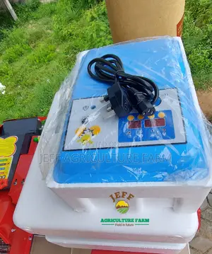 Incubator Machine Mayai 30 Weekend Ofaa