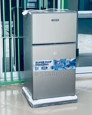 Fridge Lita 53 Boss Clean