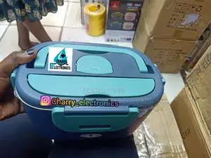 ELECTRIC Lunch Box / Food Warmer