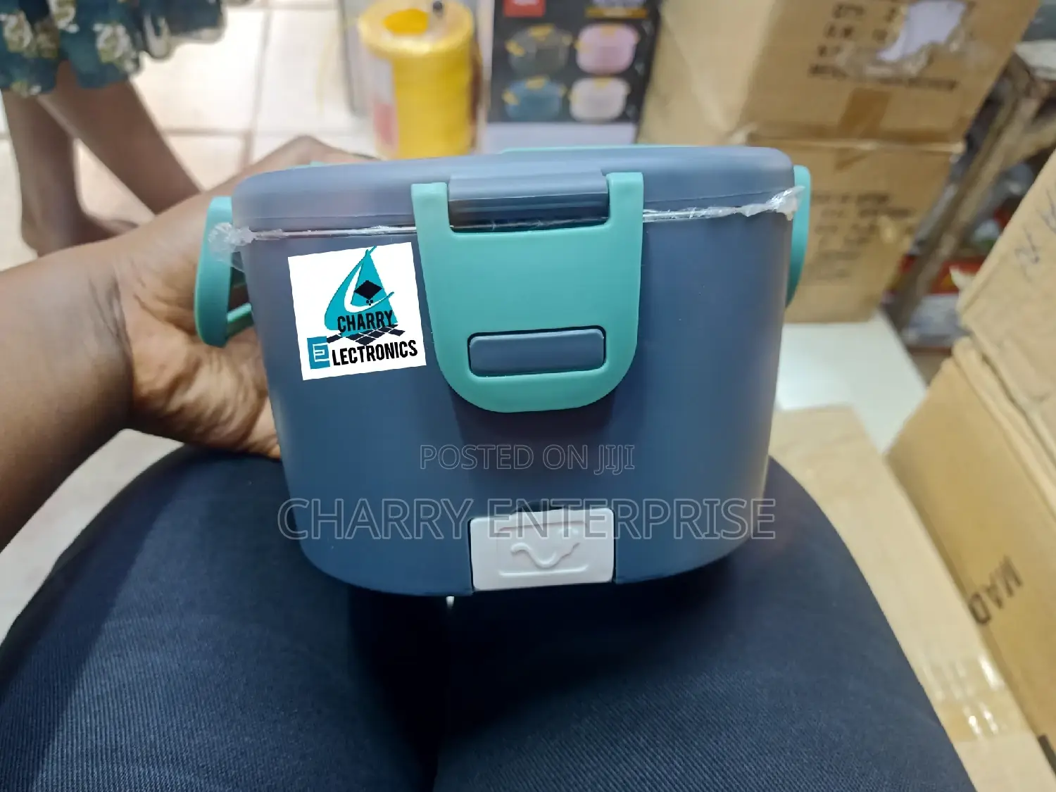 ELECTRIC Lunch Box / Food Warmer
