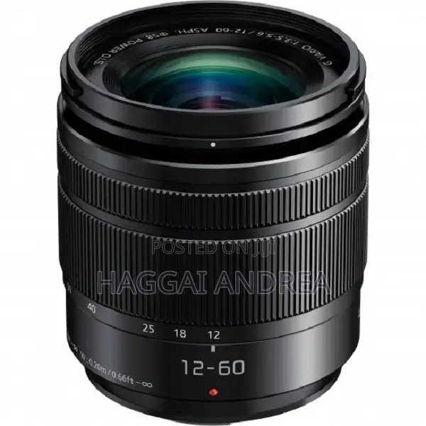Panasonic Lumix G Vario 12-60mm F3.5-5.6 Asph Ois Lens