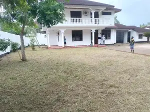 4bdrm House in Avocado, Mikocheni for rent