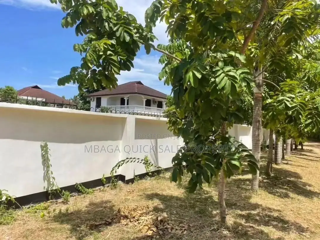4bdrm House in Avocado, Mikocheni for rent