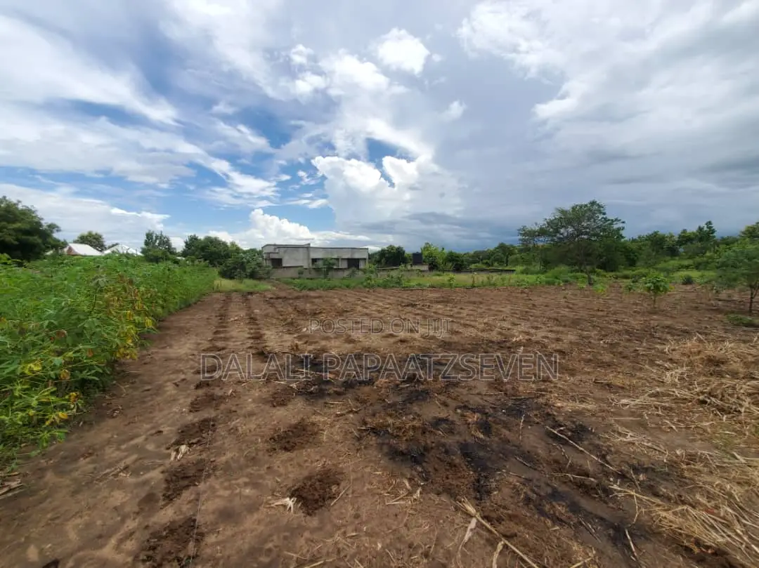 Eneo Lenye Ukubwa Wa SQMT 1600 Linauzwa Lipo Kerege Mapinga