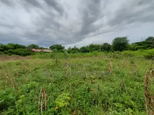 Eneo Lenye Ukubwa Wa SQMT 1600 Linauzwa Lipo Kerege Mapinga