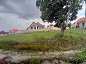 Kiwanja Cha Kishua Temboni