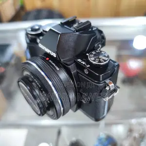 OLYMPUS OM-D E-M10 Mirrorless Digital Camera + 14-42mm Lens