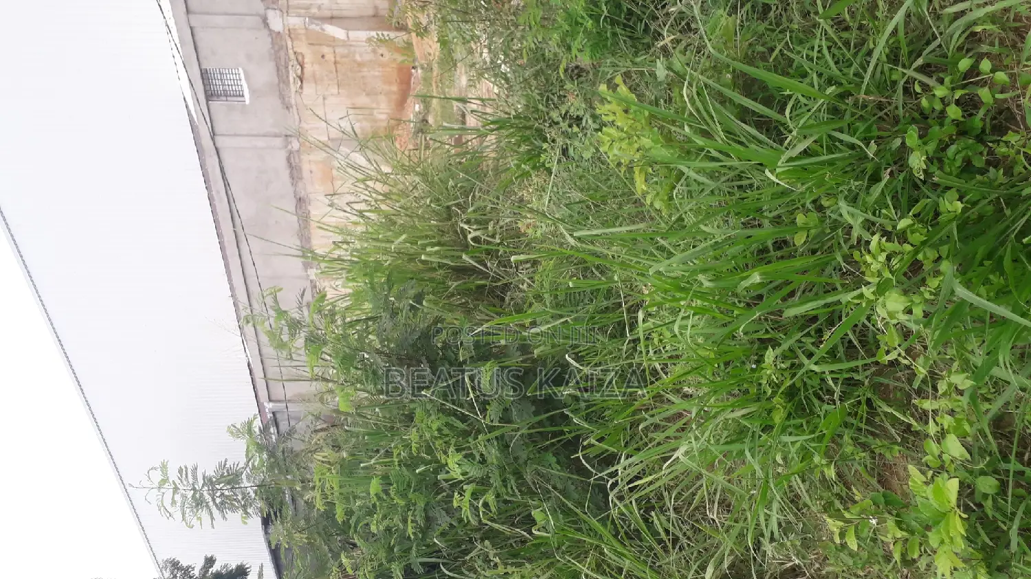Sea View Plot for Sale at Mbezi Beach Masana Rafia